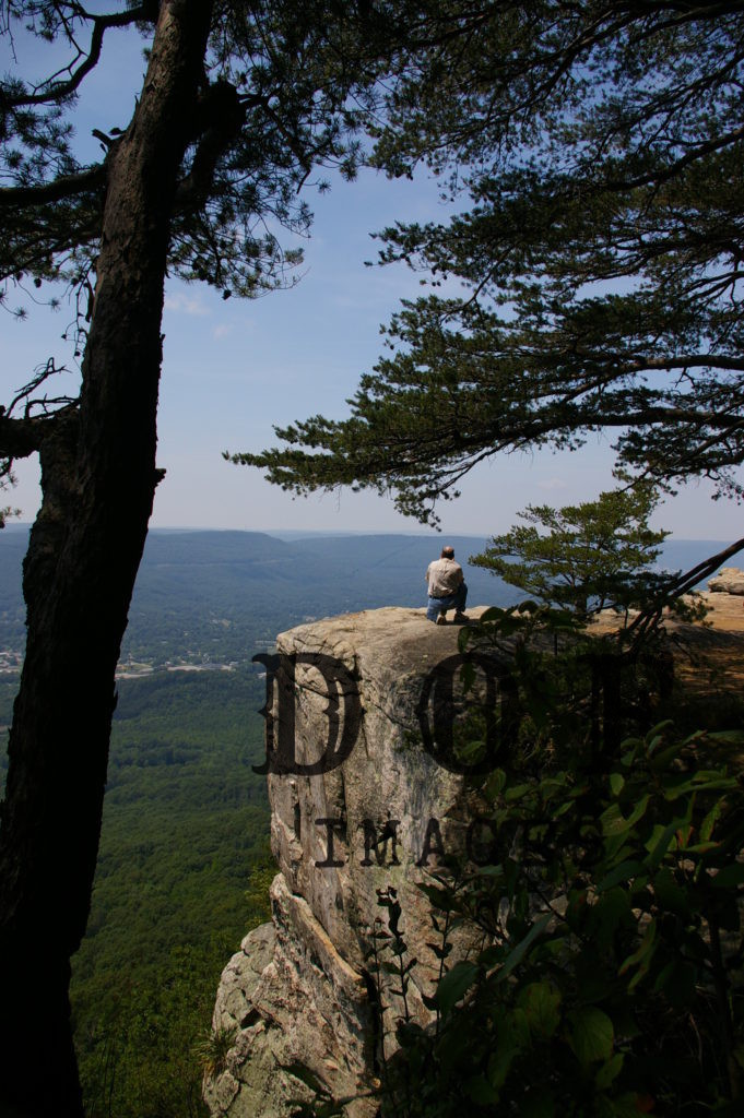 A lone man sits on a cliff, looking down at the forest below, two trees guard him on his perch.